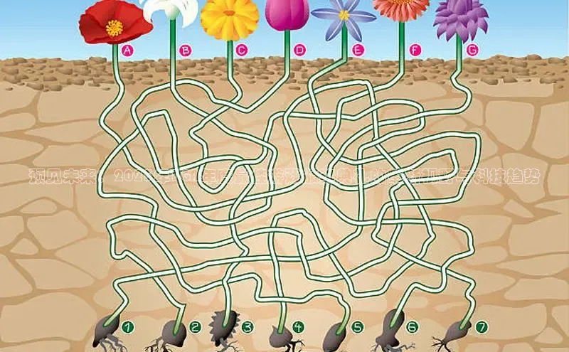 超凡电竞app官方下载